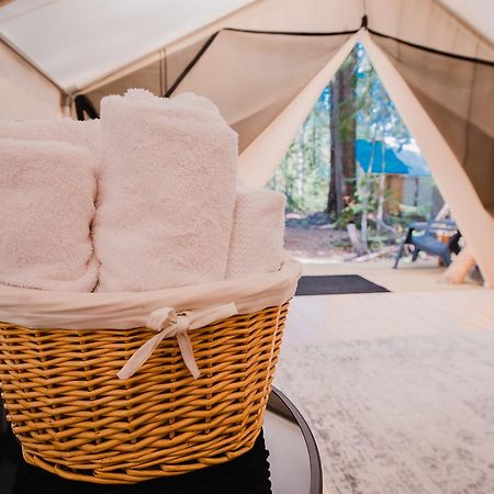 Cedar Haven Cabins And Resort كليرووتر المظهر الخارجي الصورة