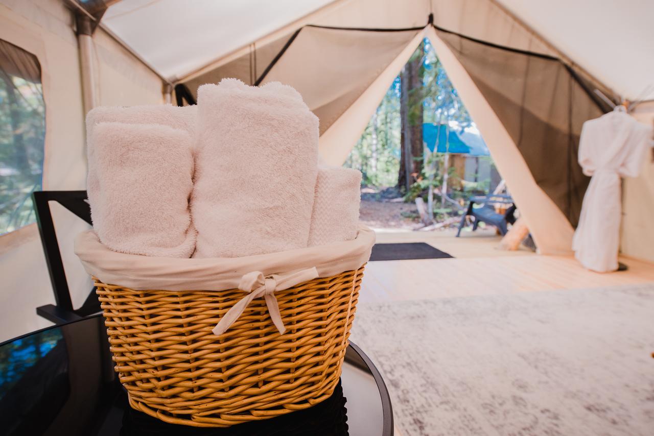Cedar Haven Cabins And Resort كليرووتر المظهر الخارجي الصورة